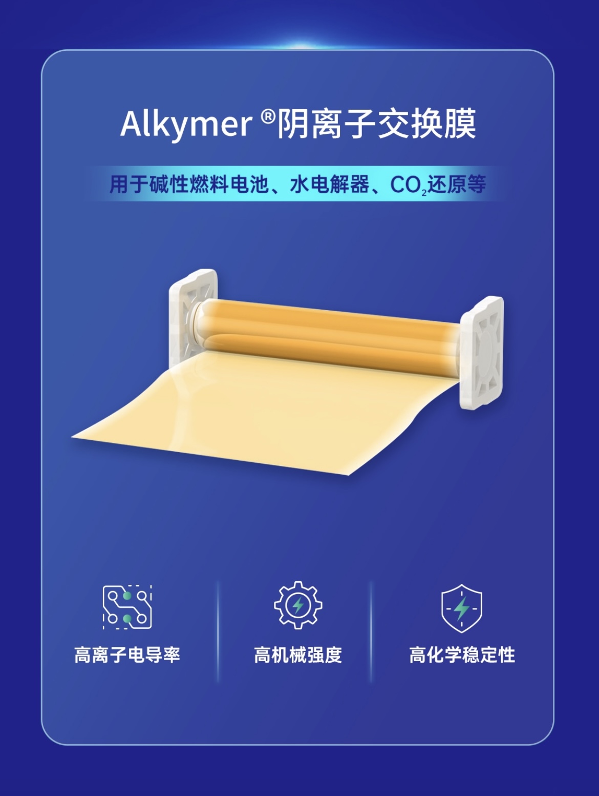 2024年广东省名优高新技术产品--阴离子交换膜.jpg